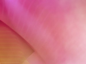 标签体系